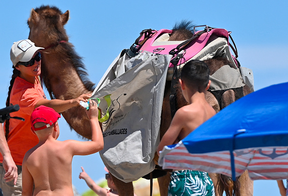 Un enfant jette des déchets dans un sac porté par un dromadaire conduit par un membre de Dromasud, à la plage Frontignan. (SYLVAIN THOMAS/AFP via Getty Images)