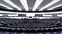 De nouveaux eurodéputés atypiques font leur rentrée