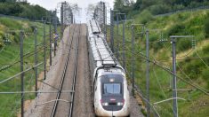 Un militant d’ultragauche a été interpellé sur un site SNCF de Seine-Maritime