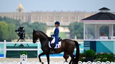 Dressage : Pauline Basquin et la France sont qualifiées pour la finale