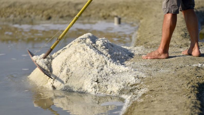 Un paludier tient une lousse, un racloir pour récolter la fleur de sel dans l'eau salée à Batz-sur-Mer, dans l'ouest de la France, le 16 août 2016.(Crédit photo LOIC VENANCE/AFP via Getty Images)