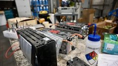 Les coûts d’assurance du secteur du recyclage des batteries explosent de 200 %