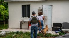 La police américaine retrouve 200 enfants disparus lors d’une opération à l’échelle nationale