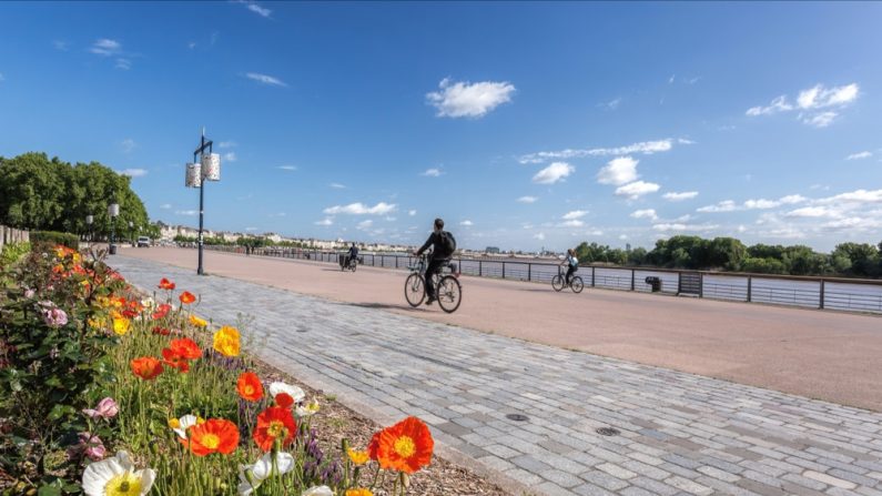 Des cyclistes à Bordeaux. (Photo : Tomas Marek/Shutterstock)