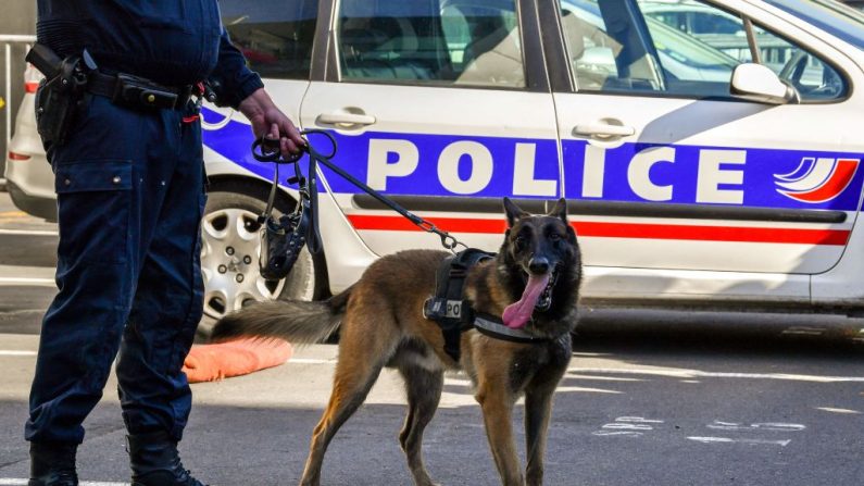 Photos d'illustration. (Crédit photo PHILIPPE HUGUEN/AFP via Getty Images)