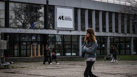 Deux jeunes Bordelais créent une appli pour relier offre et demande de logement étudiant