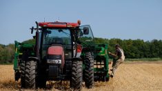 Grogne des agriculteurs : l’accord avec le Mercosur, le sujet qui « fait déborder le vase »