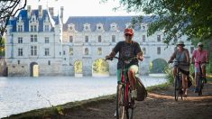 Boom du vélotourisme : plus de 1,8 million de cyclistes pour la « Loire à vélo » en 2022