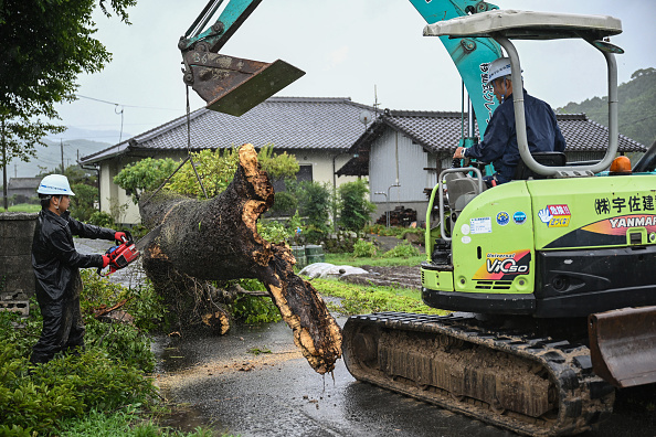 Des ouvriers enlèvent un arbre tombé à cause des vents violents du typhon Shanshan à Usa, préfecture d'Oita, le 29 août 2024. (YUICHI YAMAZAKI/AFP via Getty Images)