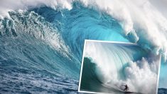 Un photographe prend des photos à couper le souffle de la vague géante « Jaws » sur la côte nord de Maui – et c’est incroyable