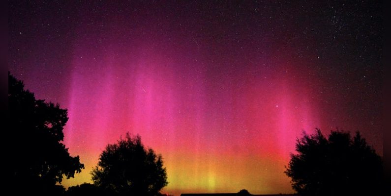 Une aurore boréale illuminant le ciel au-dessus de Guelpe by Havelaue, en Allemagne, le 13 août 2024. (Photo : RALF HIRSCHBERGER/AFP via Getty Images)