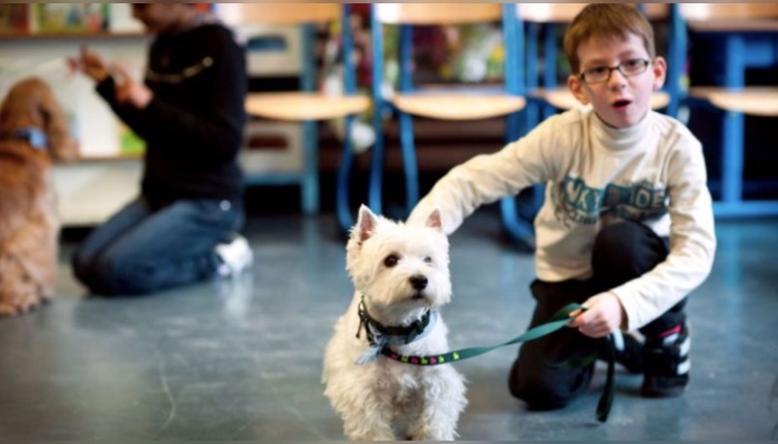 "Une petite avancée" : les élèves de CP auront des cours sur le bien-être animal à la rentrée