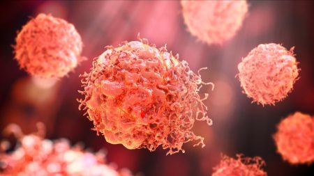 Cancer : des chercheurs français identifient des cellules immunitaires à l’origine de la maladie