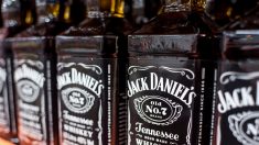 « Le monde a évolué » : Jack Daniel’s laisse tomber le wokisme et le fait savoir dans un mail