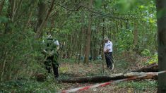 « Très gentille », « sérieuse », « réservée » : élèves et professeurs appréciaient Philippine, l’étudiante dont le corps a été retrouvé au bois de Boulogne