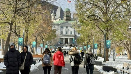 Canada : le chef de l’opposition officielle appelle à une « croissance démographique plus faible » et à une réforme du système d’immigration