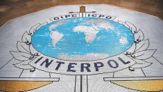 Interpol : opération annuelle record contre les arnaques en ligne