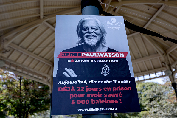 L'Américano-Canadien Paul Watson a été arrêté le 21 juillet 2024 au Groenland en vertu d'une « notice rouge » d'Interpol émise par le Japon. (Photo STEPHANE DE SAKUTIN/AFP via Getty Images)