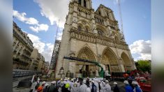 Notre-Dame : dernier coup de projecteur sur le chantier avant la réouverture