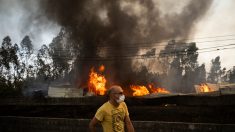 Record de pollution carbone du aux feux au Portugal : les fumées attendues sur une partie de la France