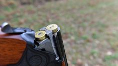 Auvergne : un enfant de quatre ans tire accidentellement avec un fusil de chasse et blesse grièvement son père