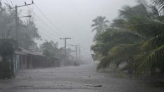 Tempête Hélène : quatre morts et des millions de foyers sans électricité