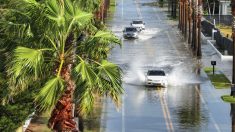 L’ouragan Hélène, affaibli, reste « extrêmement dangereux », selon les autorités