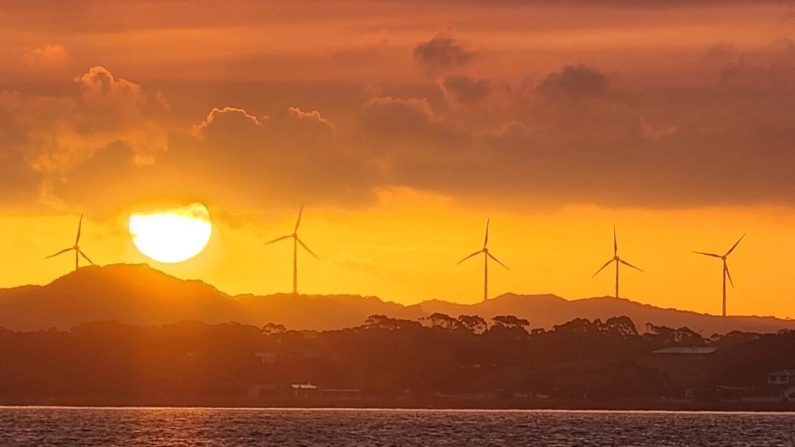 Éoliennes du parc éolien d'Albany au coucher du soleil à Albany, en Australie occidentale, le 22 janvier 2024. Susan Mortimer/Epoch Times