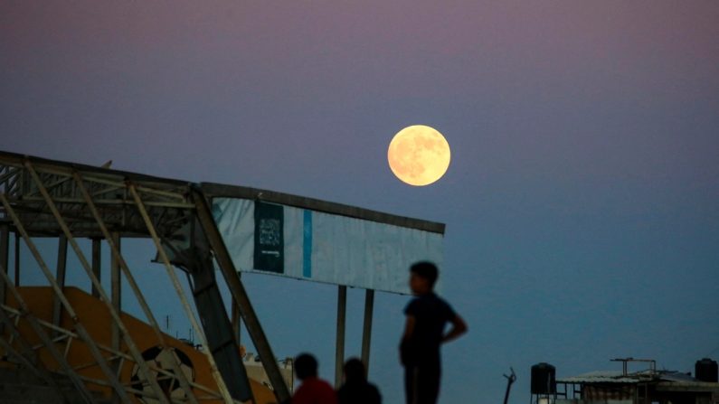 De jeunes Palestiniens regardent la pleine lune se lever au-dessus de Khan Yunis, dans le sud de la bande de Gaza, le 17 septembre 2024. (Bashar Taleb/AFP via Getty Images)