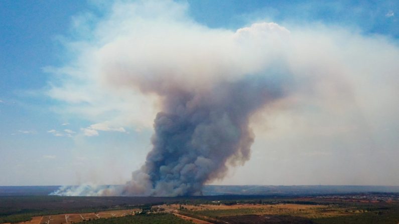 Un incendie de forêt dans le parc national de Brasilia, à Brasilia, le 16 septembre 2024. (Evaristo Sa/AFP via Getty Images)