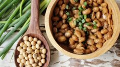 Les bienfaits du natto pour la santé : le secret japonais de la longévité