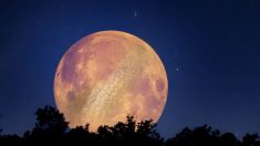 La pleine lune des moissons qui tombera en septembre sera une superlune – voici pourquoi elle sera gigantesque