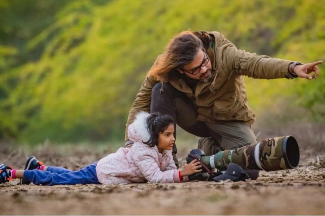 Une enfant de 9 ans prend une photo de paons par un matin brumeux d'hiver et se qualifie pour le prix du photographe de la vie sauvage de l'année