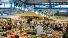 Dijon : deux commerçants attaqués au hachoir par un migrant récidiviste sur un marché