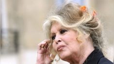 La directrice d’un refuge animalier reçoit une photo dédicacée par Brigitte Bardot dans sa boîte aux lettres