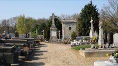 Crâne mis en évidence, cendres renversées… Sept tombes profanées dans un cimetière près de Toulouse