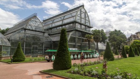 Plus de 10.000 personnes signent une pétition pour demander la fermeture du zoo du parc de la Tête d’Or à Lyon