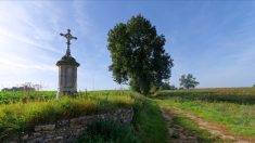 Loire-Atlantique : un deuxième calvaire profané en moins d’une semaine à Guérande