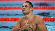 Natation : Florent Manaudou se remet au hand en plus de son entraînement