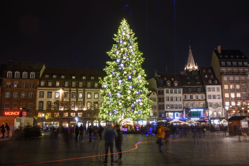 Marché de Noël de Strasbourg : le grand sapin qui présidera sur la place Kléber a été coupé dans les Vosges