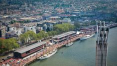 Un très gros cétacé a été aperçu dans l’estuaire de la Seine, la capitainerie de Rouen est en alerte