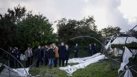 Un an après la tempête Ciaran : Sandrine, maraîchère bretonne, « rayée du paysage »