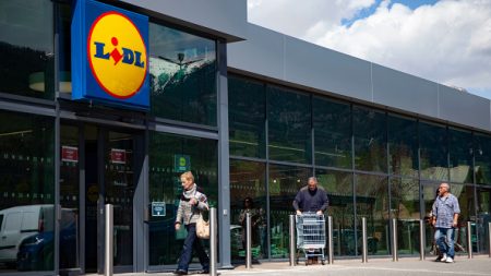 Perpignan : victime de « l’arnaque au rétroviseur » sur le parking du Lidl, elle réussit à piéger ses deux escrocs