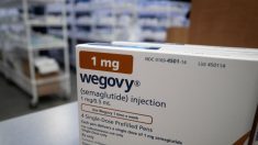 Un traitement par injection pour contrer l’obésité : Wegovy arrive en France