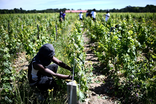 Illustration. CHRISTOPHE ARCHAMBAULT/AFP via Getty Images)