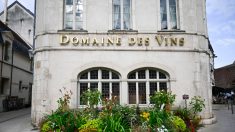 Vente des vins de Beaune : Jean Reno et Eva Longoria parmi les invités stars