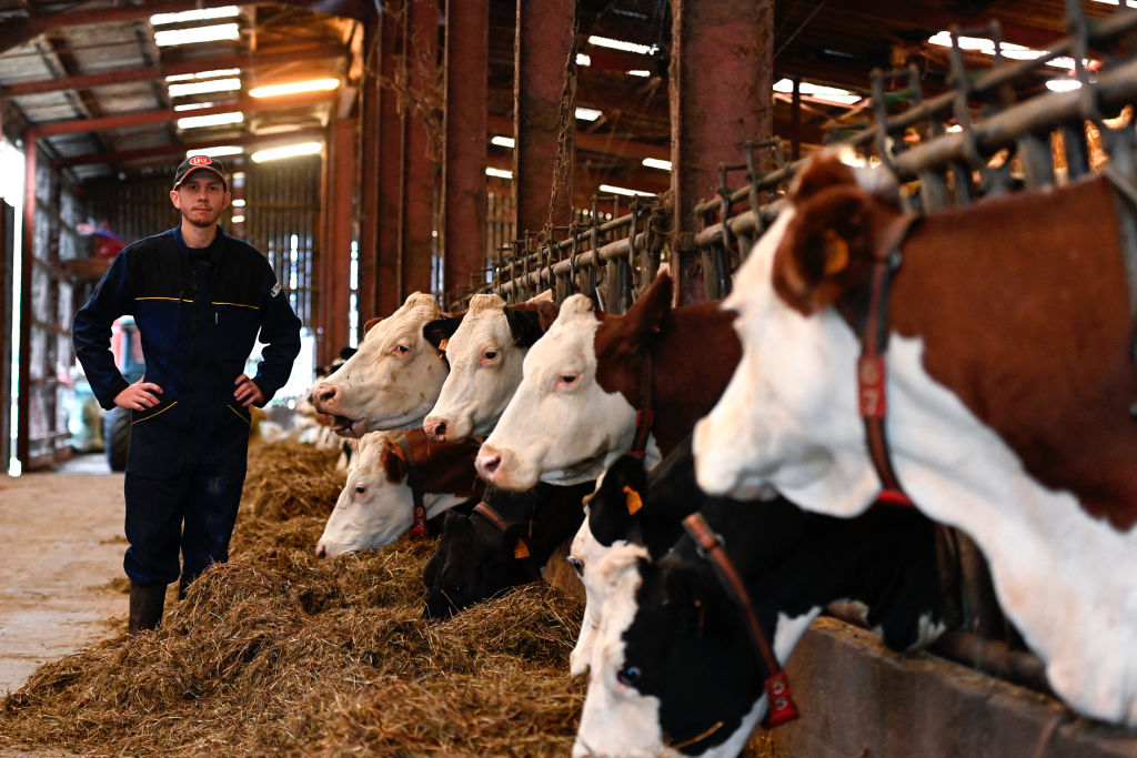 Le lait français menacé par une concurrence déloyale