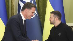 Cessez-le-feu en Ukraine : Volodymyr Zelensky prêt à des concessions contre une protection de l’Otan