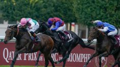 En plein galop, le cheval Haya Zark décède lors du Qatar Prix de l’Arc de Triomphe