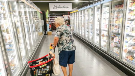 Titres-restaurant : les restaurateurs dénoncent un « détournement » en « titre-caddie »